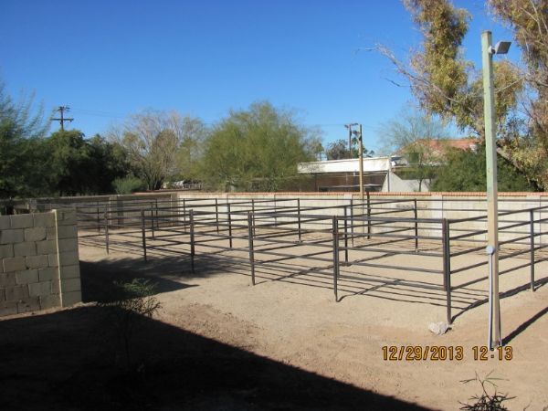 Fencing, Arenas, Pens and Turn outs